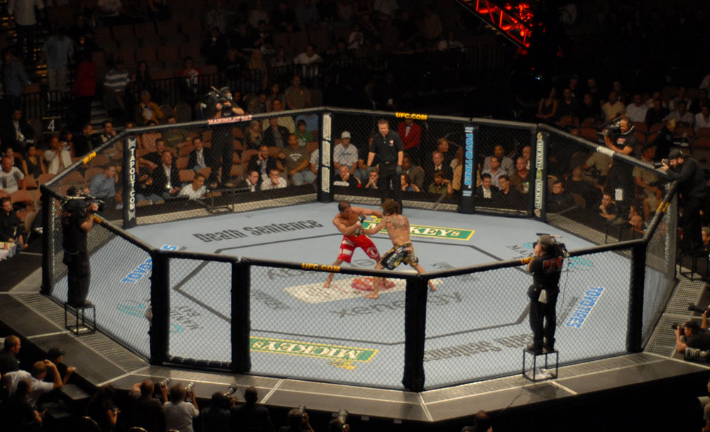 Un combat de l'UFC